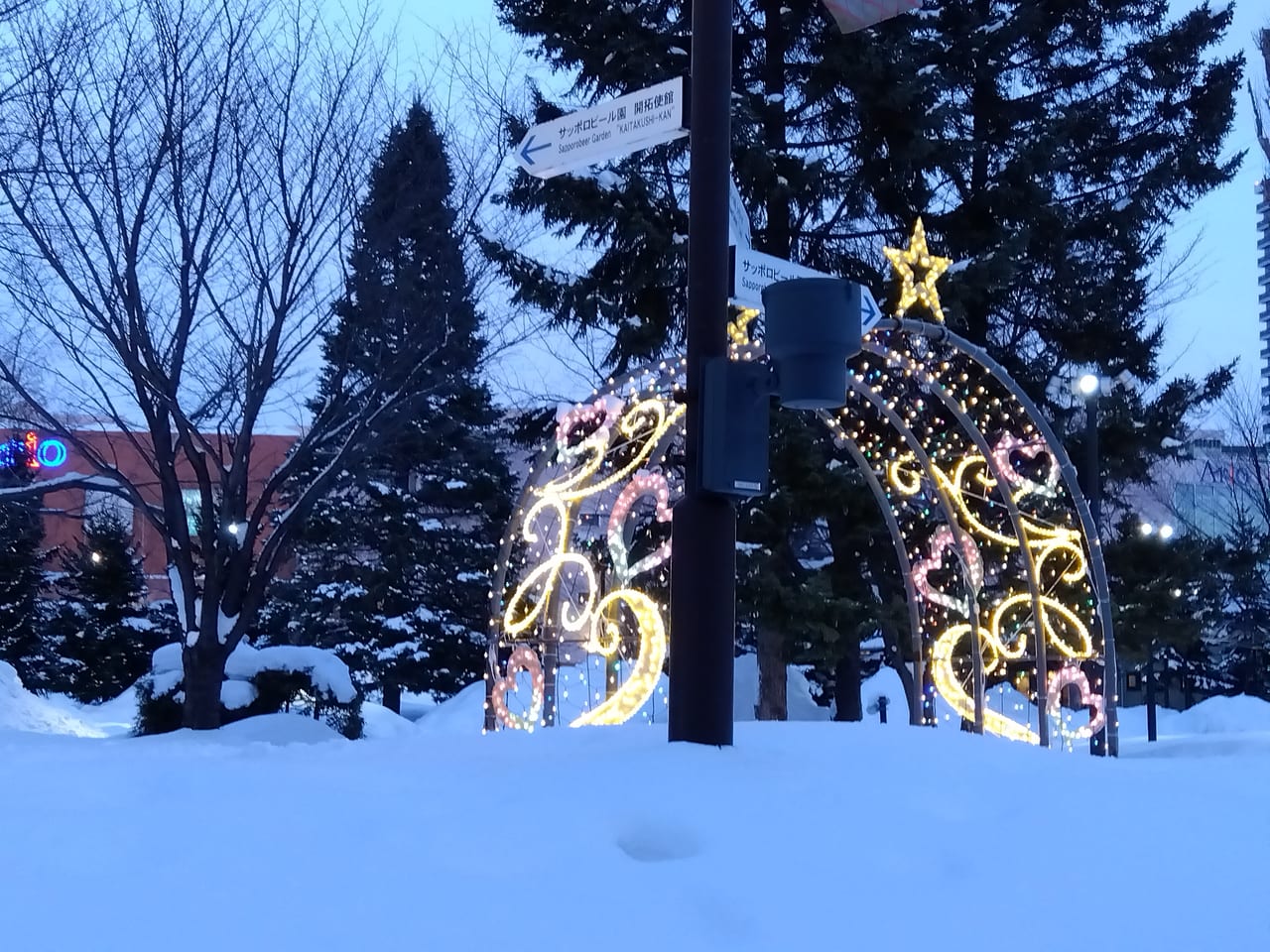 札幌ガーデンイルミネーション