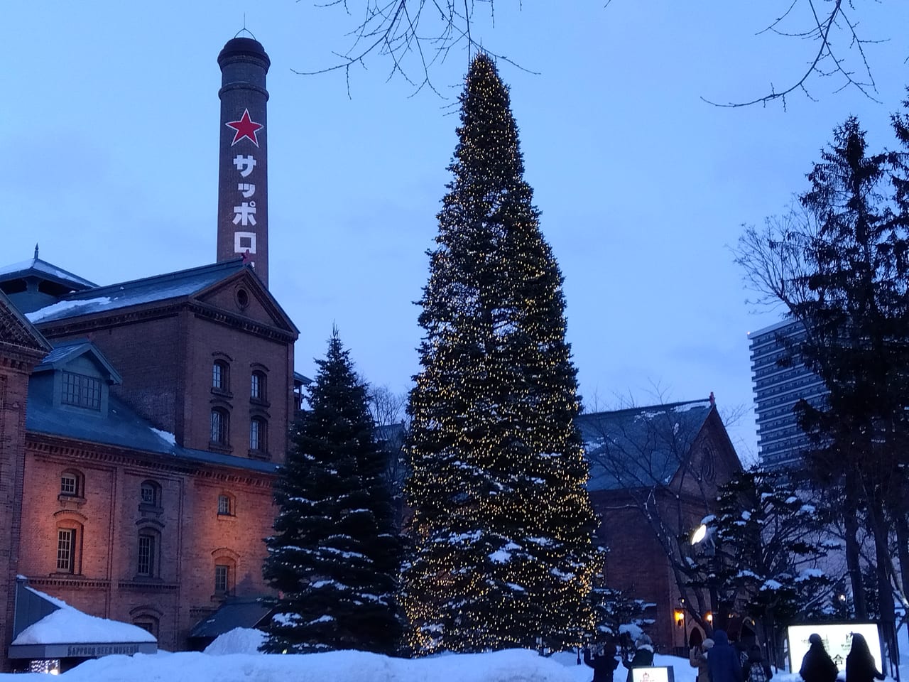 札幌ガーデンパークイルミネーション