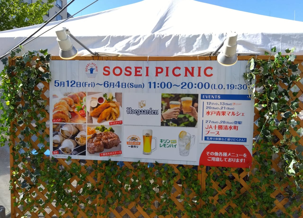 SOSEI PICNIC