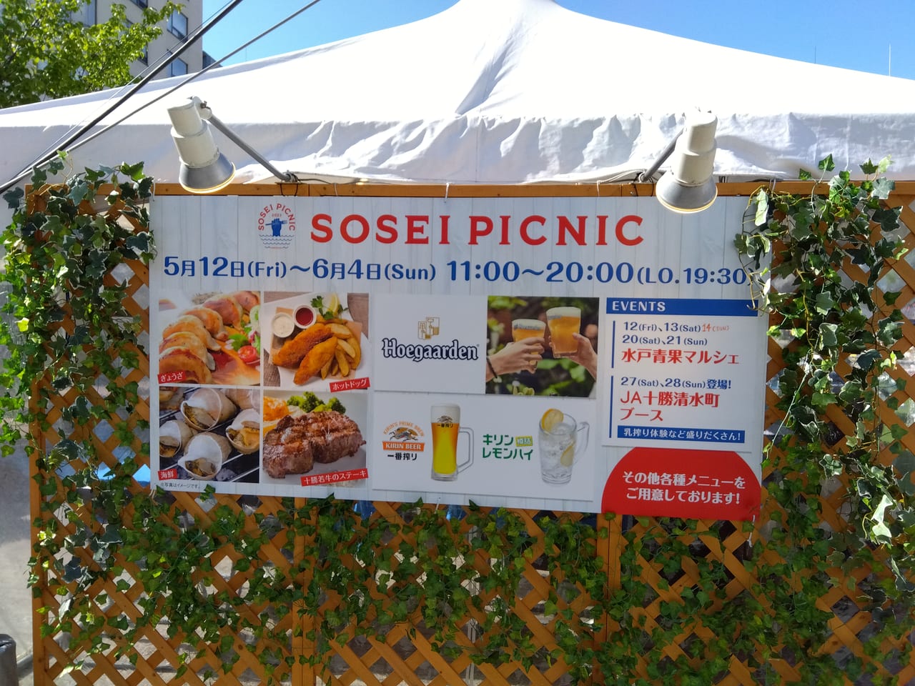 SOSEI PICNIC