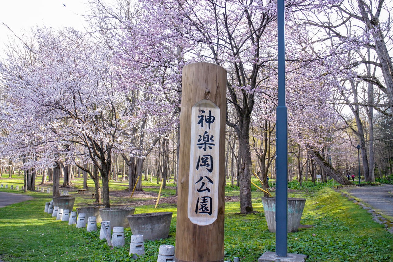 神楽岡公園、入口の風景