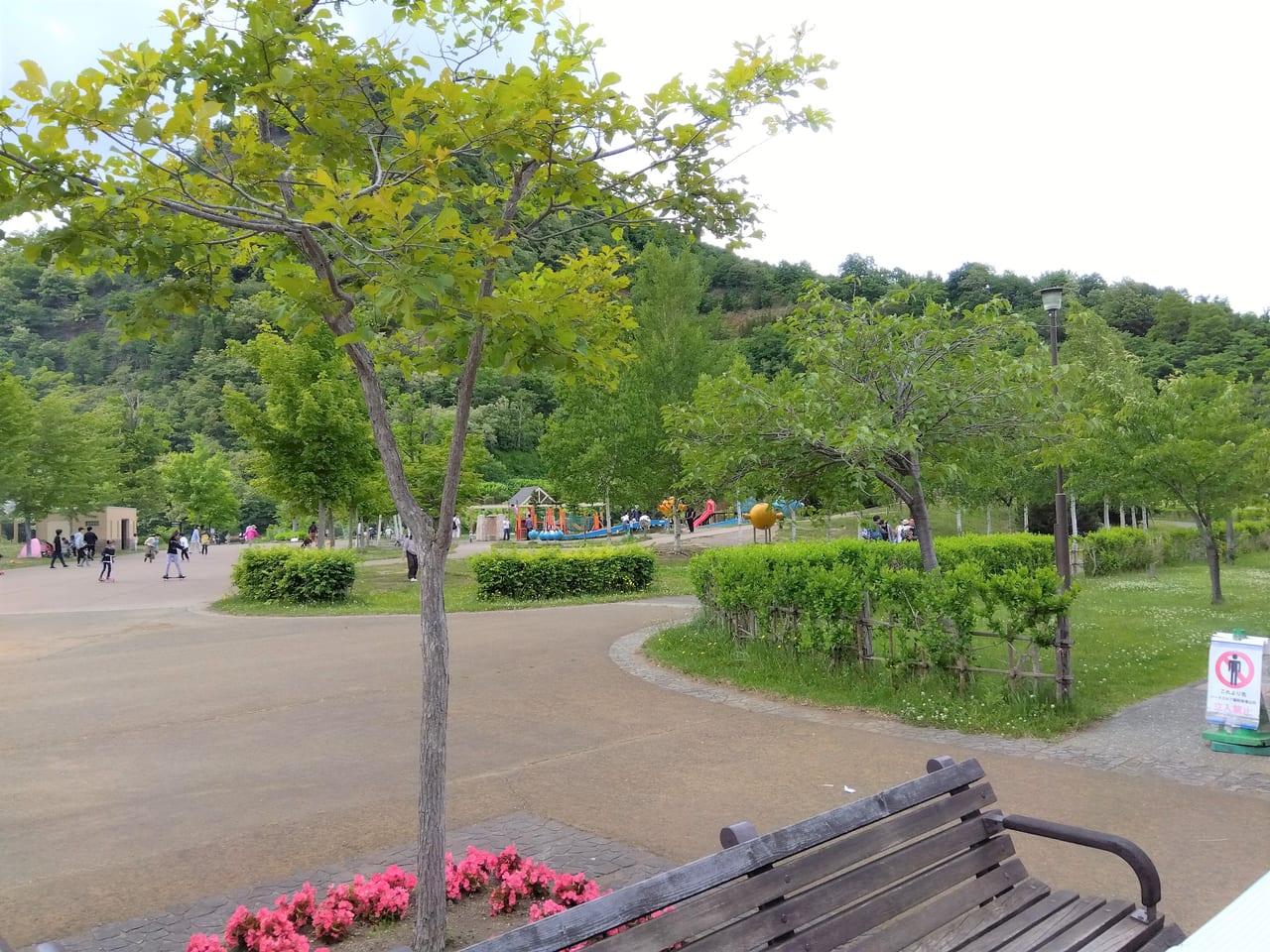 五天山公園ホタル