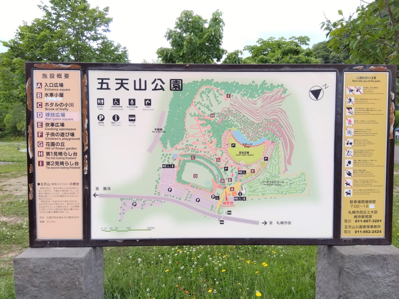 五天山公園ホタル