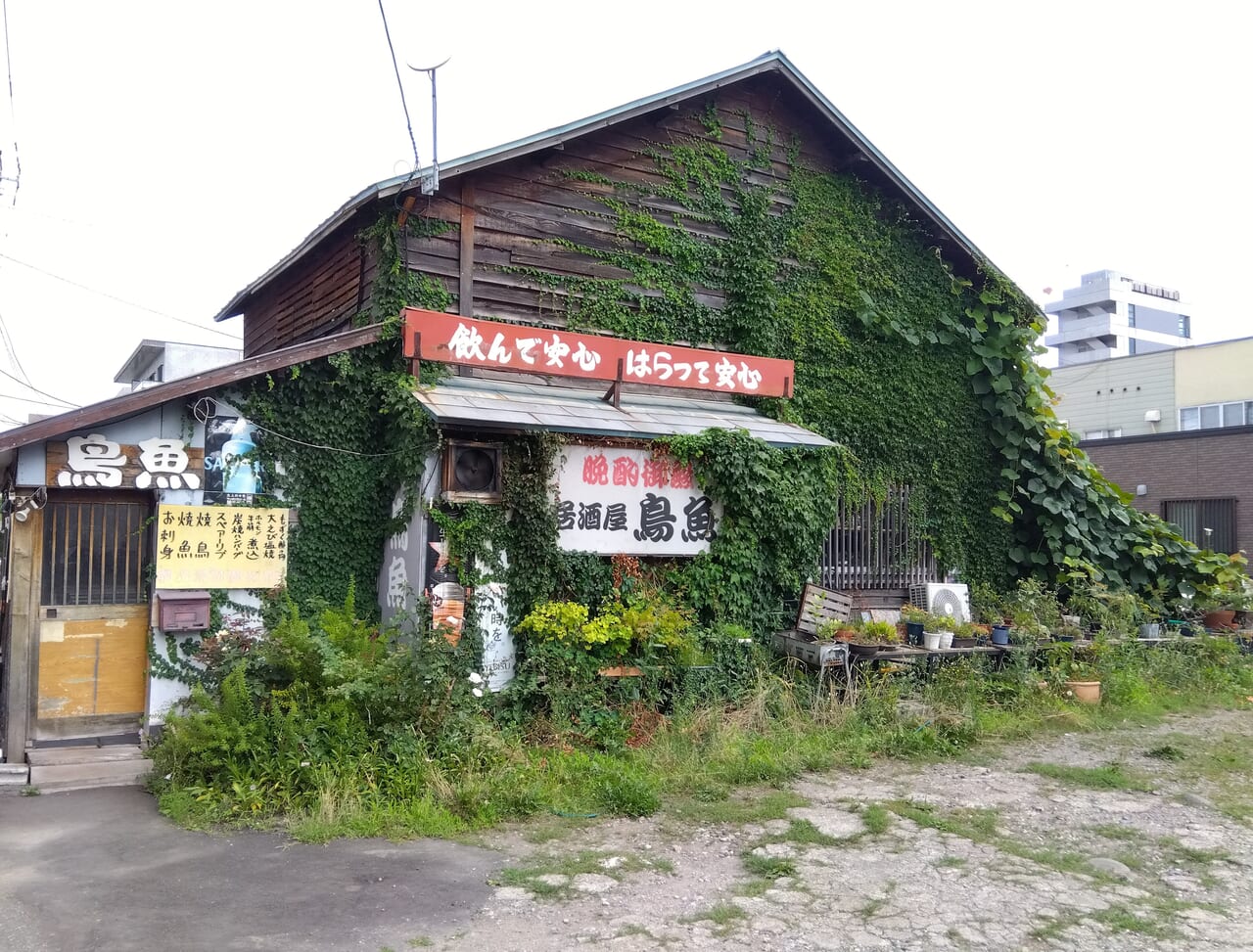 鳥魚閉店