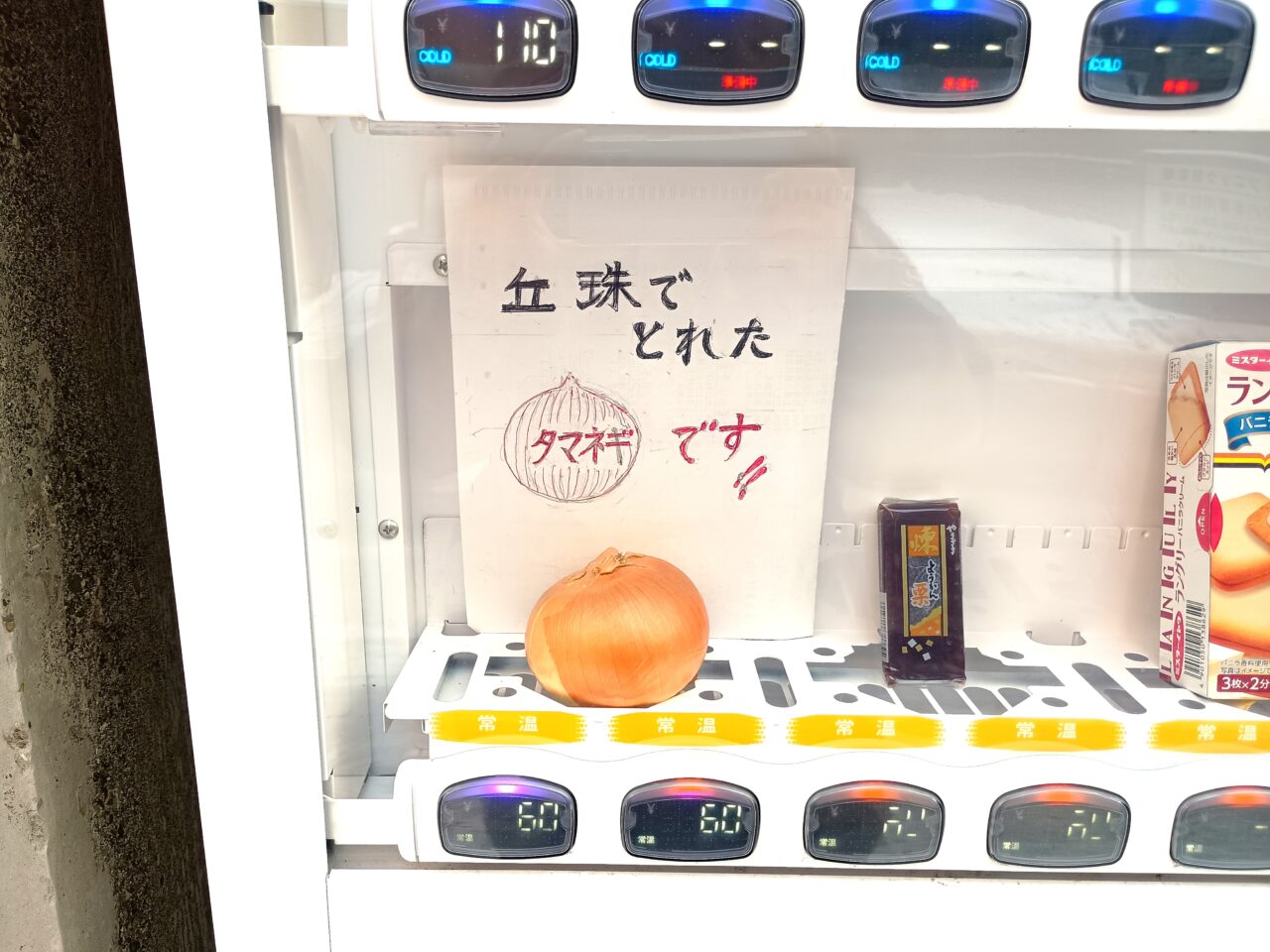 面白自販機