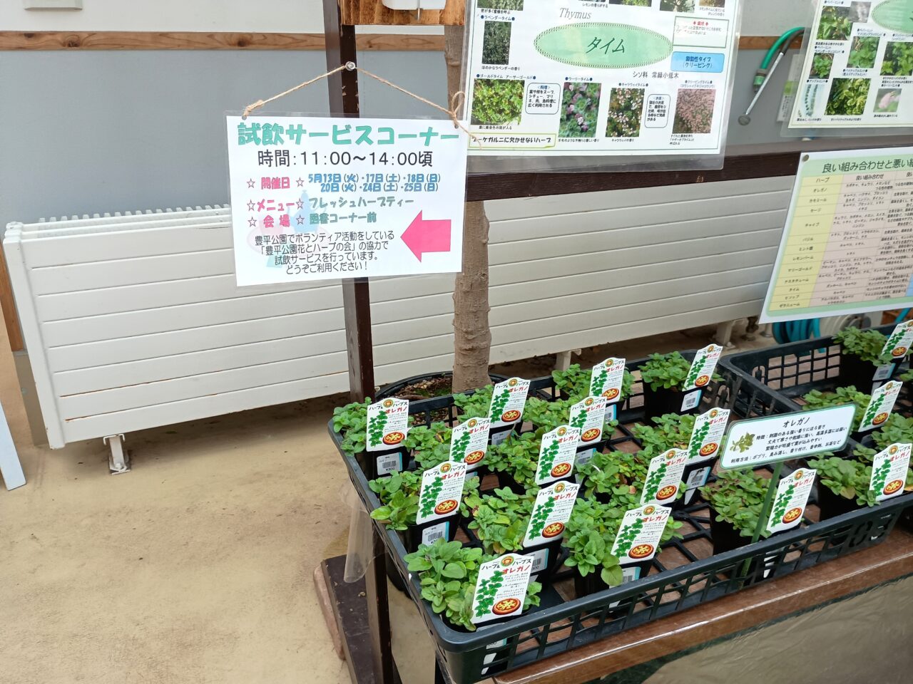 豊平公園ハーブ展