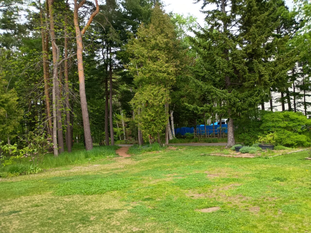 緑のセンター
