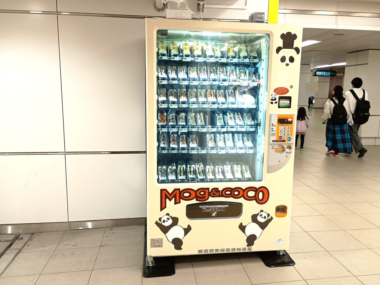 もぐあんどここ