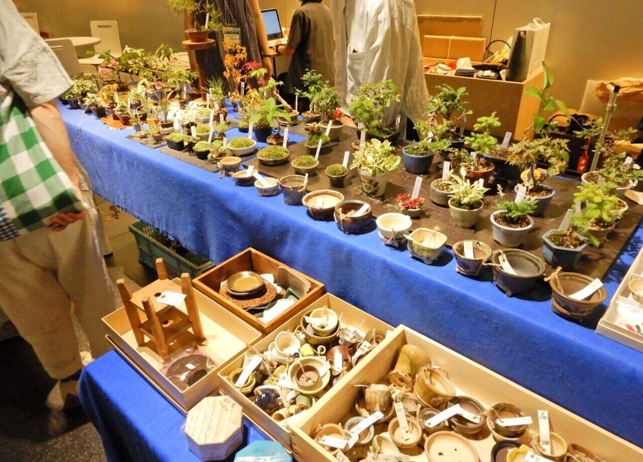 盆栽フェス