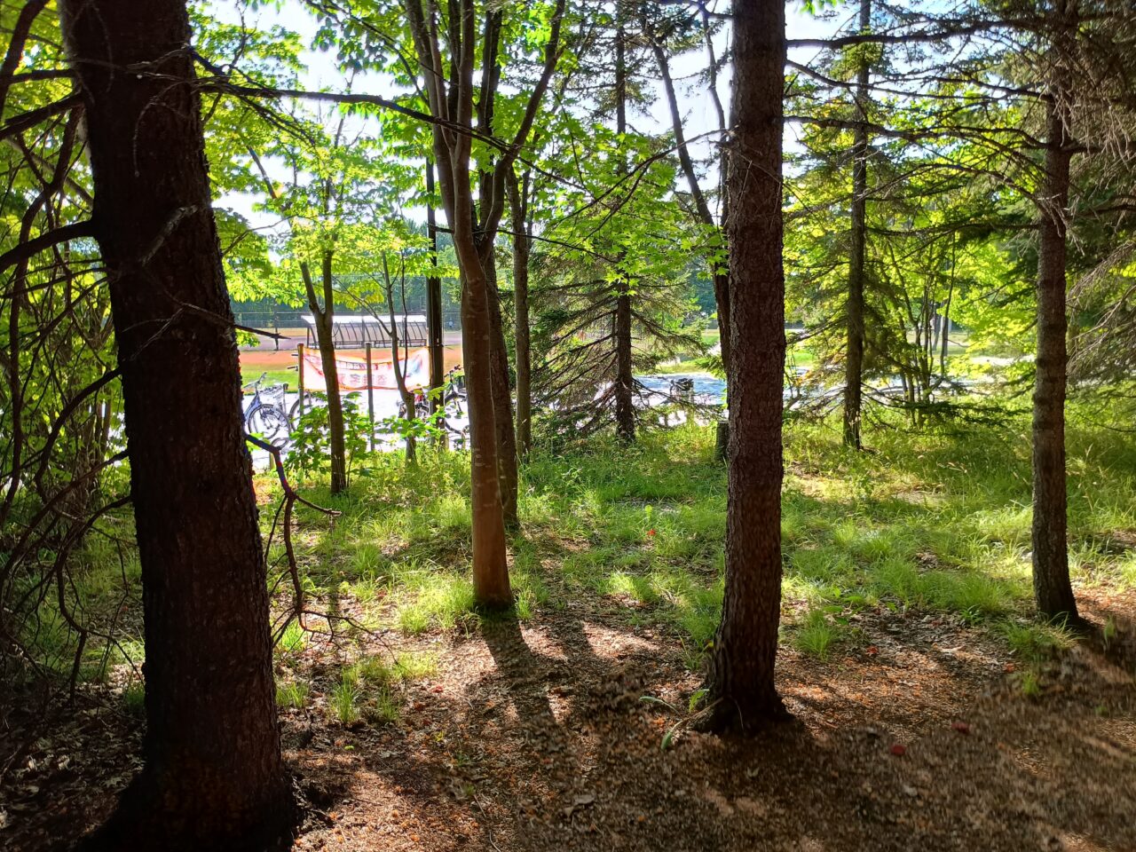 川下公園縁日