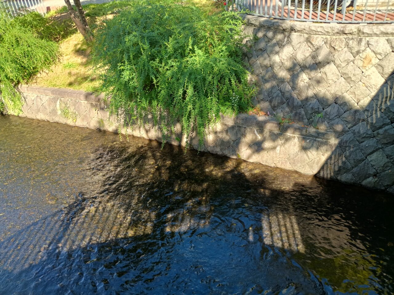 創成川YEG