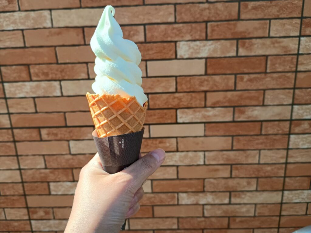 セブンイレブン南7条