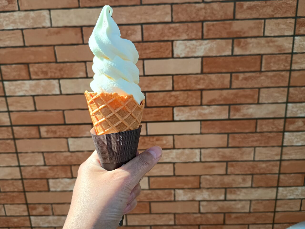 セブンイレブン南7条