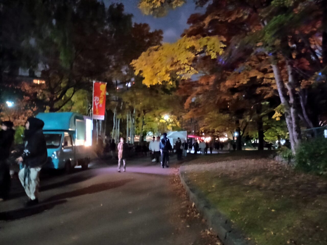 中島公園ライトアップ1