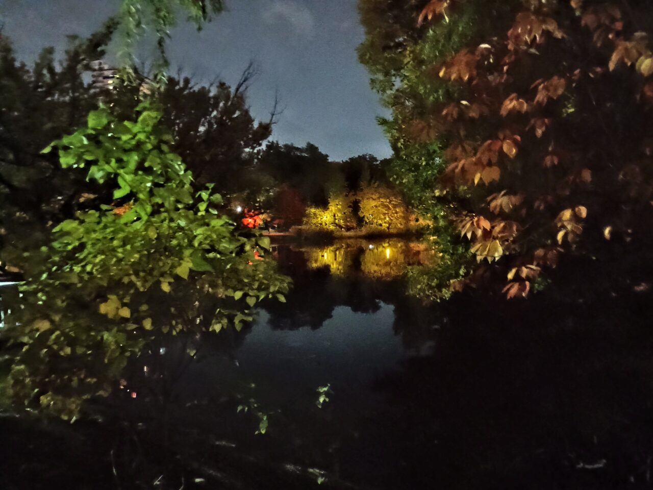 中島公園ライトアップ1