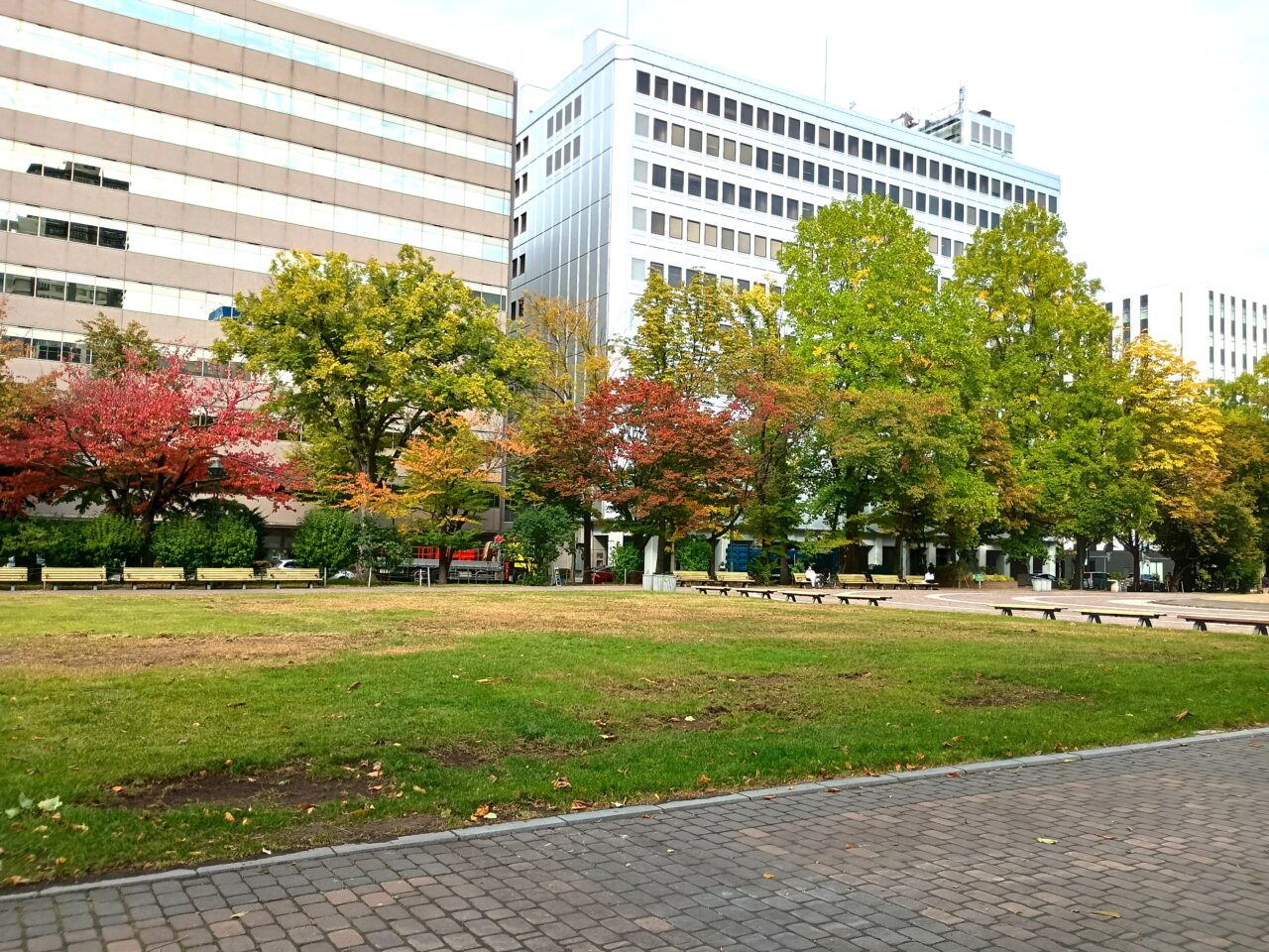 大通公園であそぶかい