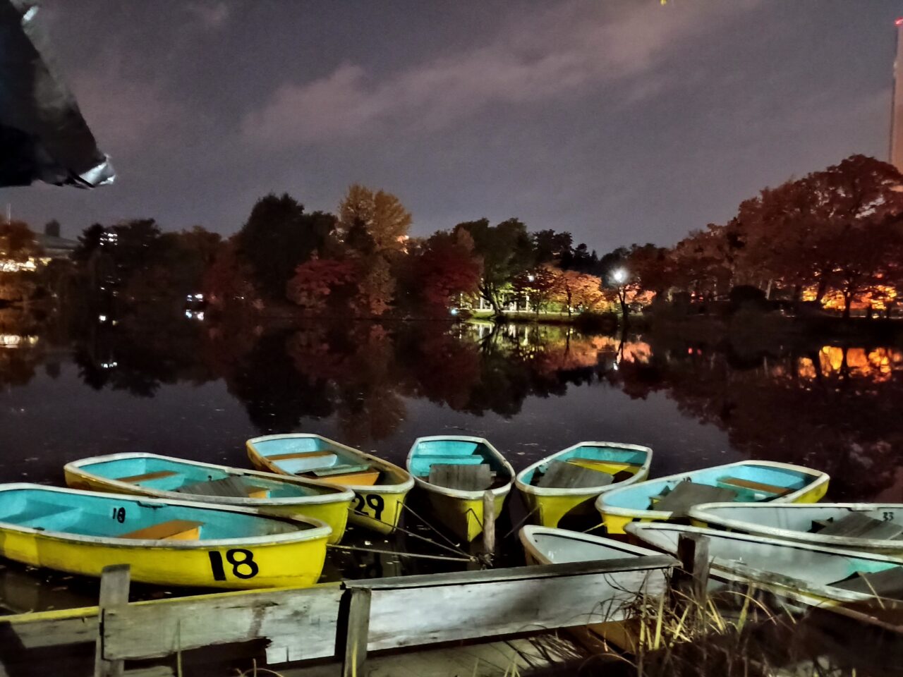 中島公園ライトアップ1