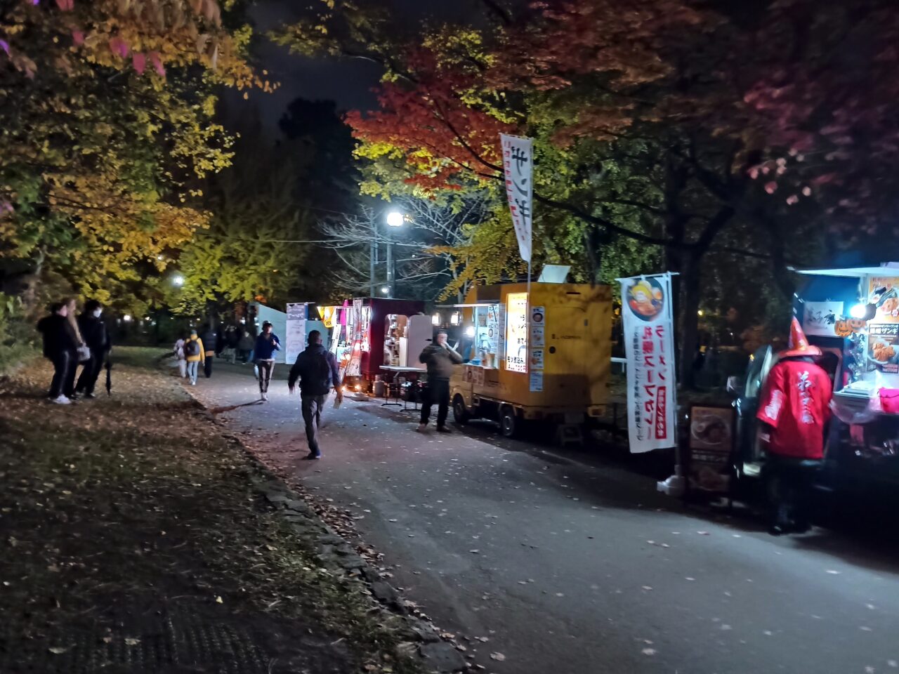 中島公園ライトアップ1