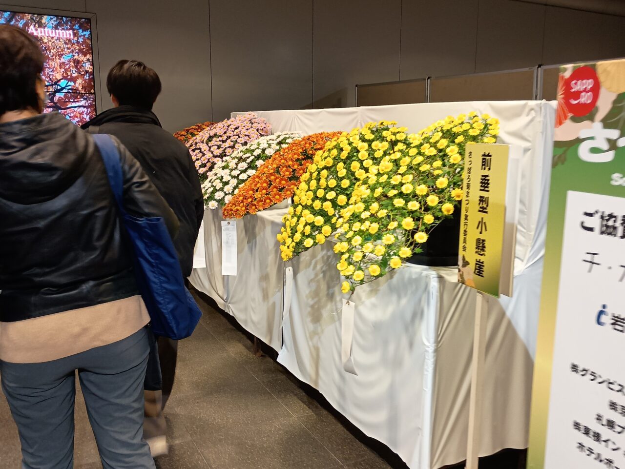 菊まつり2025