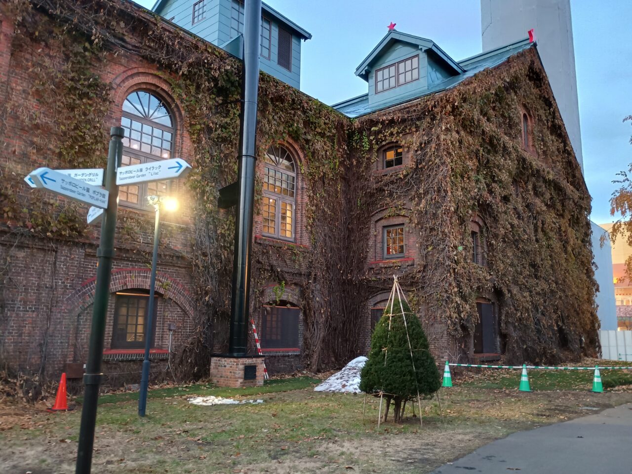 ビール園イルミ