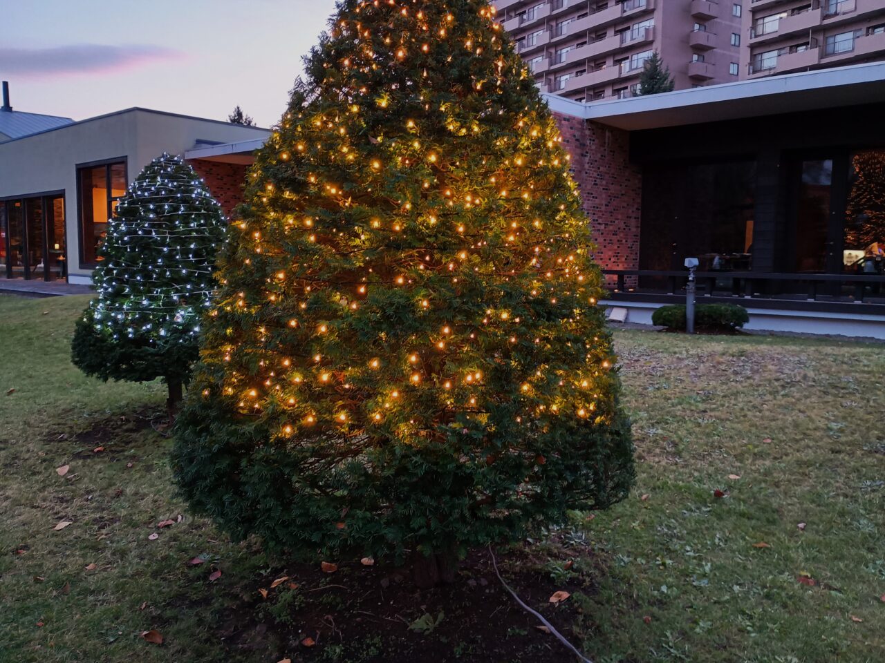 ビール園イルミ