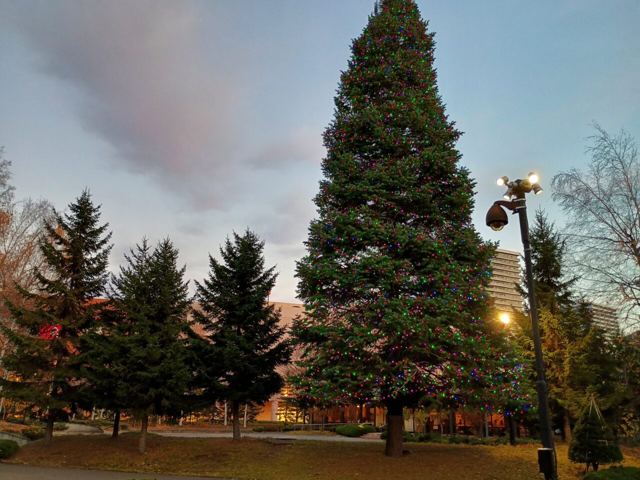 ビール園イルミ