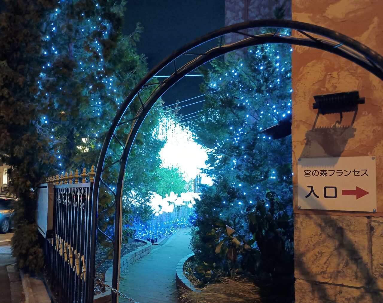 フランセスイルミ