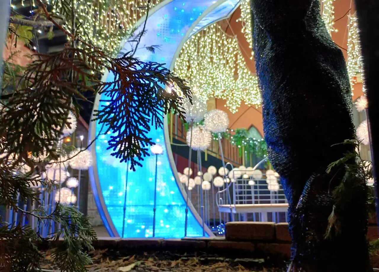 フランセスイルミ