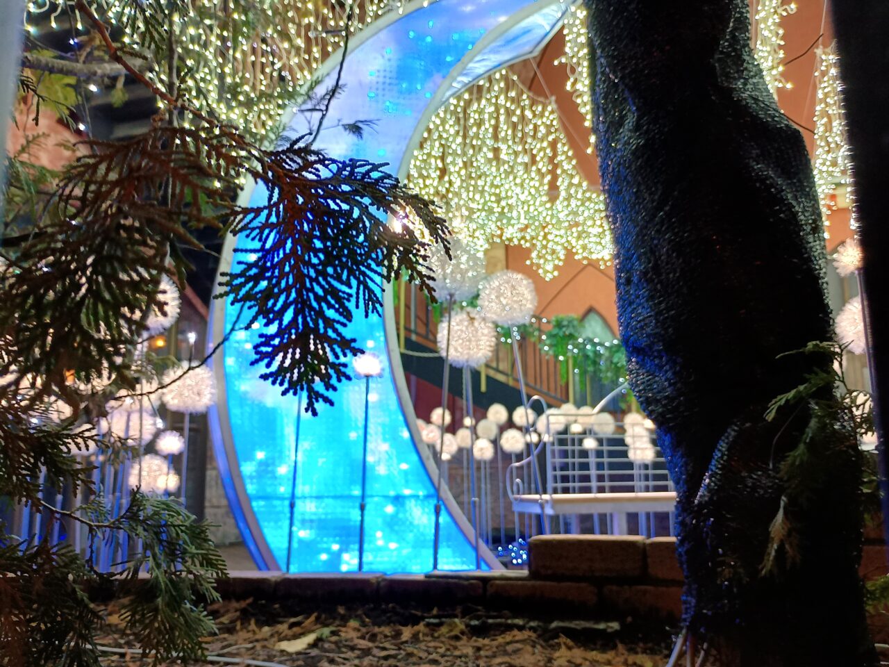 フランセスイルミ