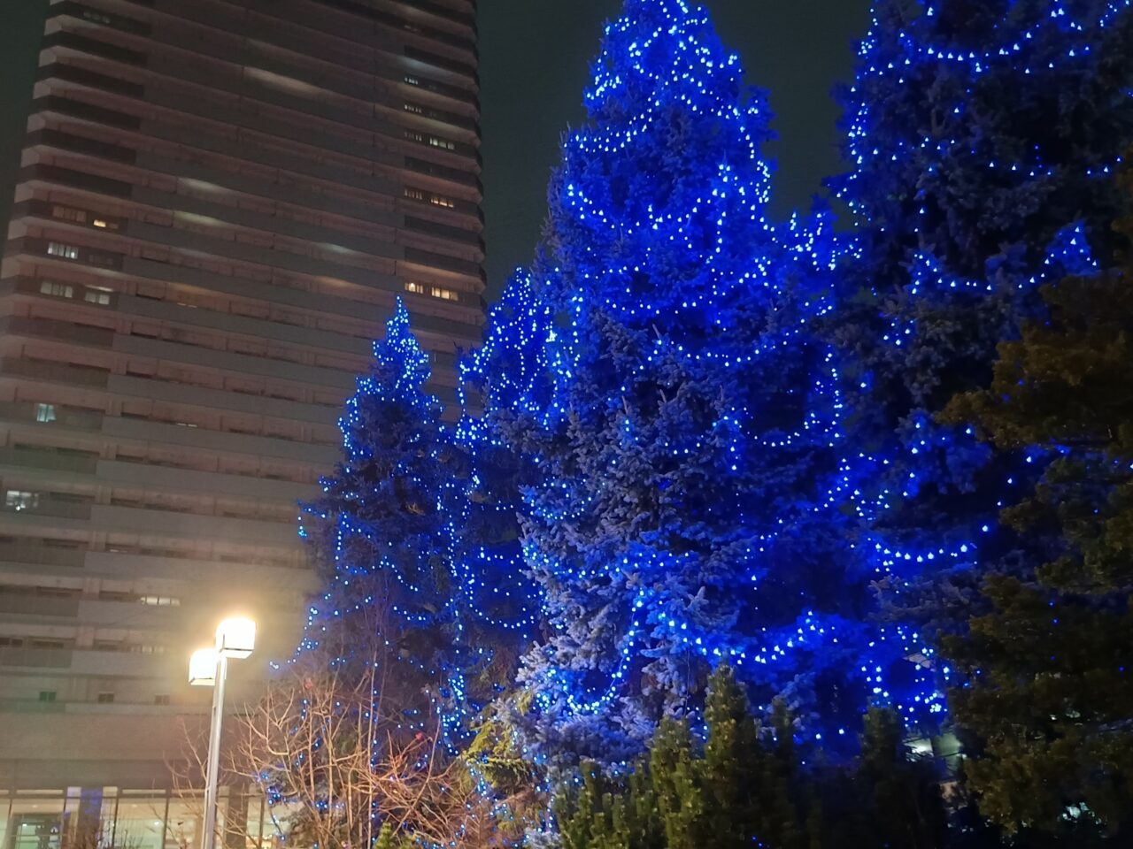 琴似イルミネーション