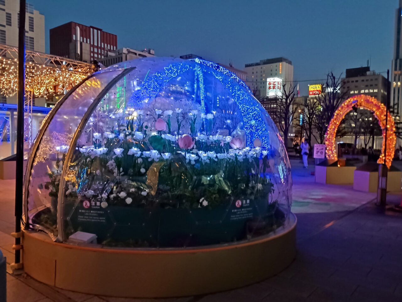 札幌駅イルミ