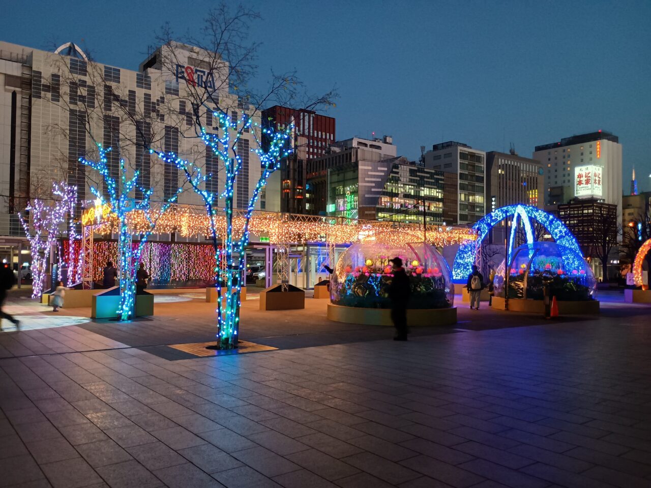 札幌駅イルミ