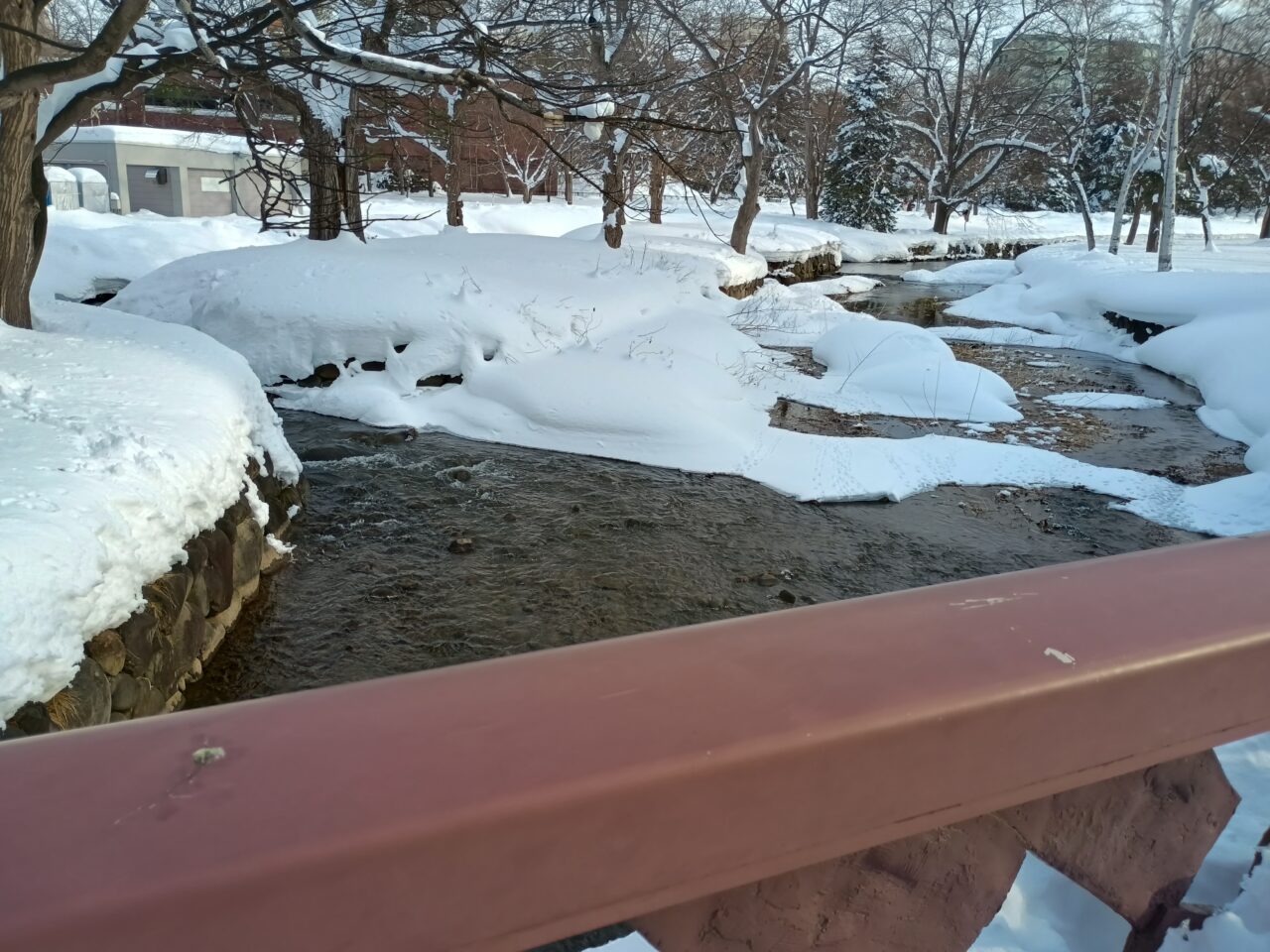 雪明かり中島公園