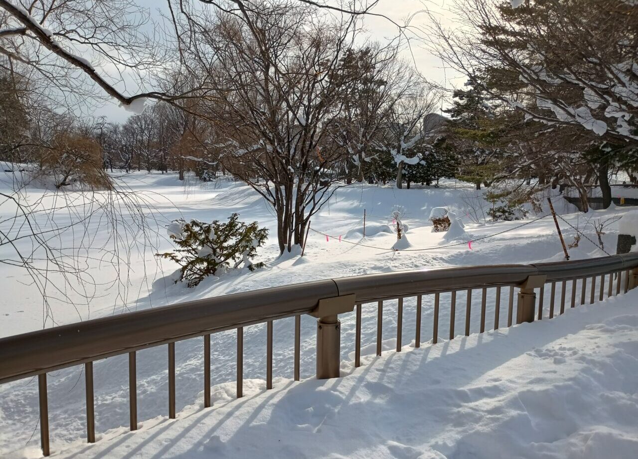 雪明かり中島公園