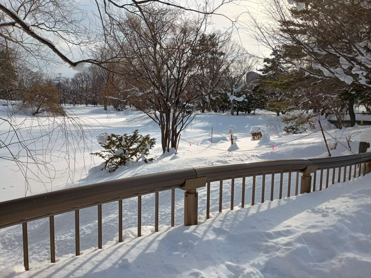雪明かり中島公園