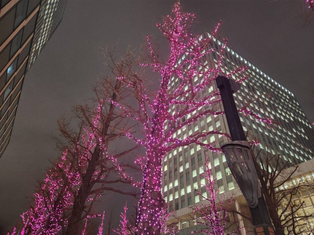 赤レンガイルミ