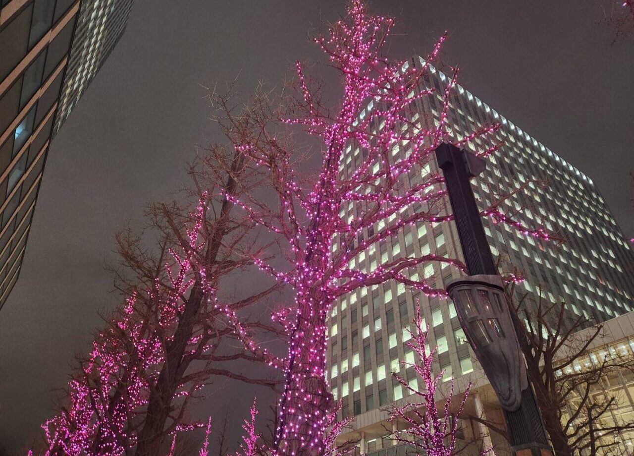 赤レンガイルミ