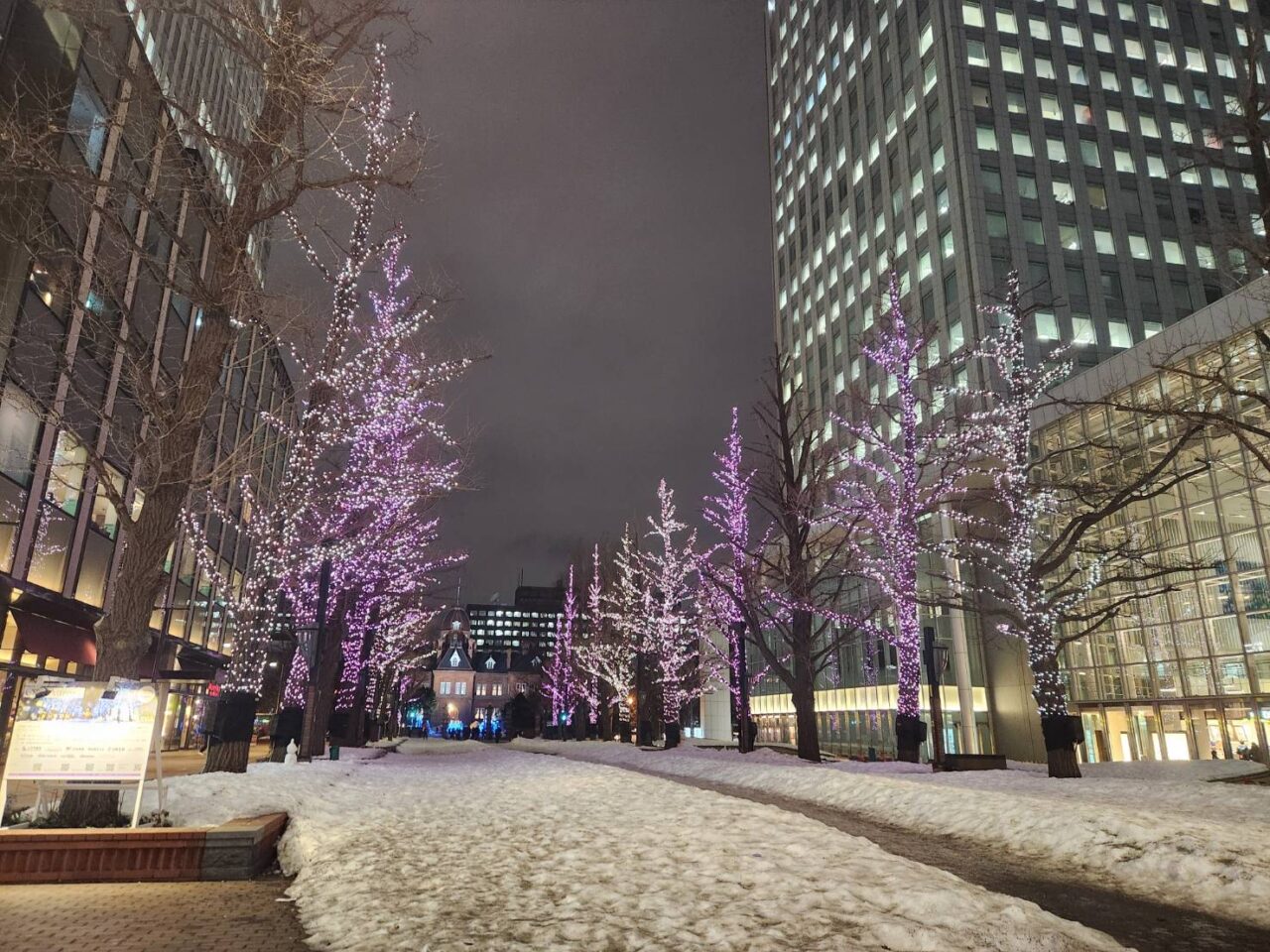 赤レンガイルミ